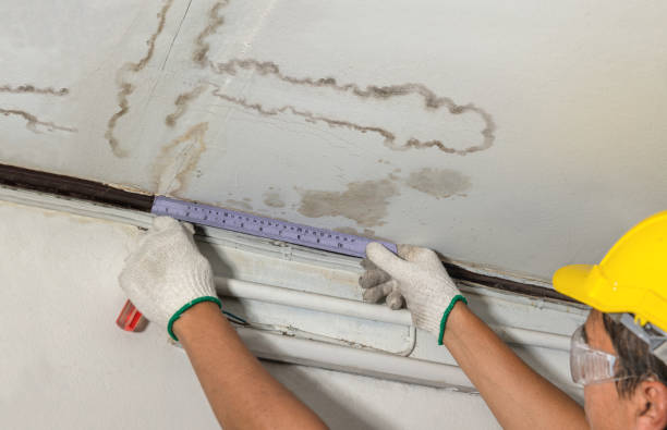 Reliable Structural Drying And Dehumidification contractor in Sidney, MI by Aqua Guard Water Damage